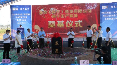 J9����ֱӪ���޹�˾�عس������ص������Բ���ɹ���