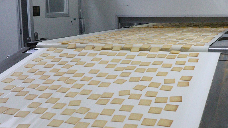 J9����ֱӪ-��������