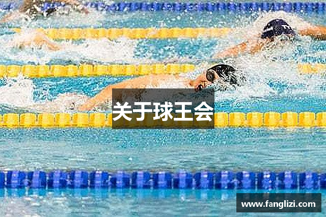 关于球王会